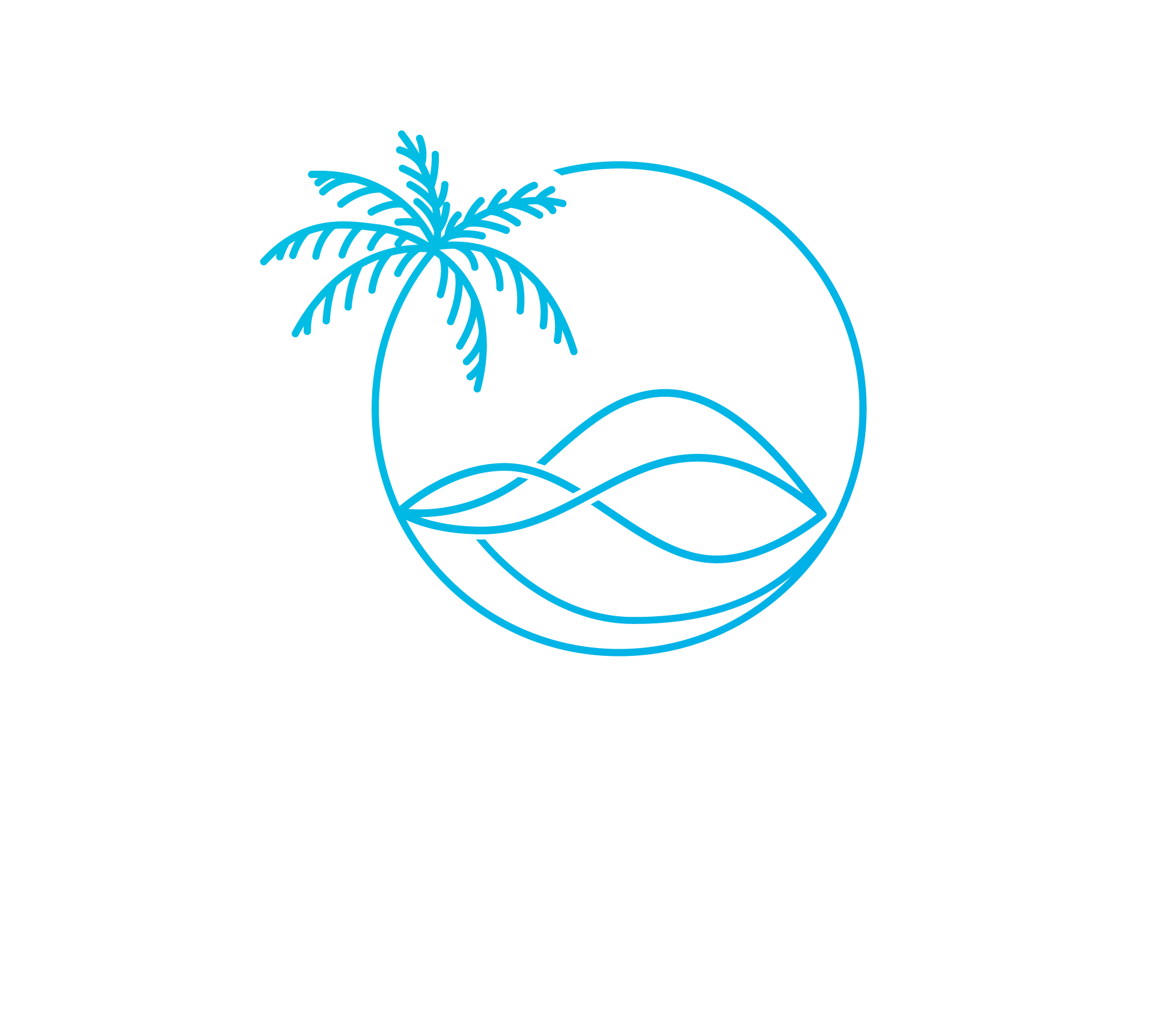 Paradise Systems logo